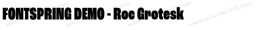 FONTSPRING DEMO - Roc Grotesk Black字体转换